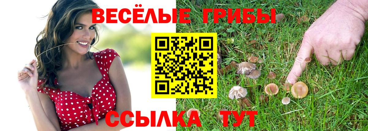 Псилоцибиновые грибы MAGIC MUSHROOMS  Вход с VPN  Норильск 
