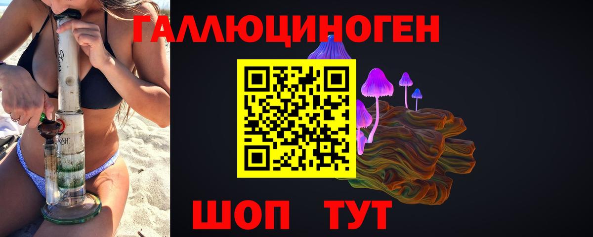 Псилоцибиновые грибы Psilocybine cubensis Норильск